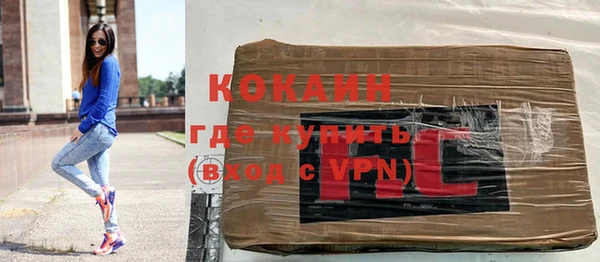 индика Баксан
