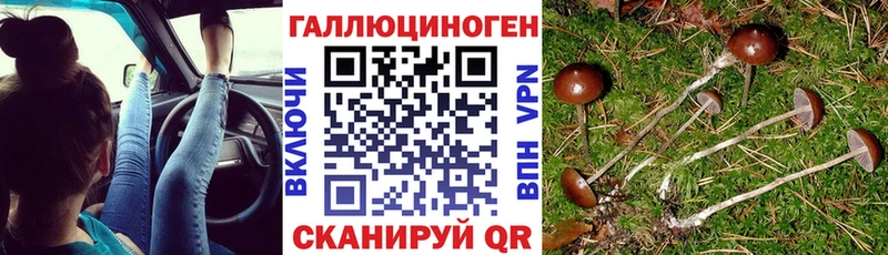 Галлюциногенные грибы мухоморы  дарнет шоп  Киреевск 